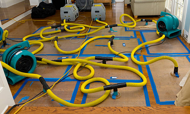 Professional Storm Water Damage Restoration technician working in West Mansfield, OH