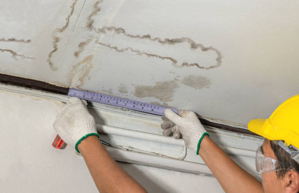 Affordable Water Damage Repair solutions in West Mansfield, OH